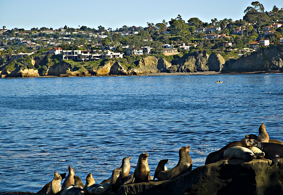 La Jolla Shores view